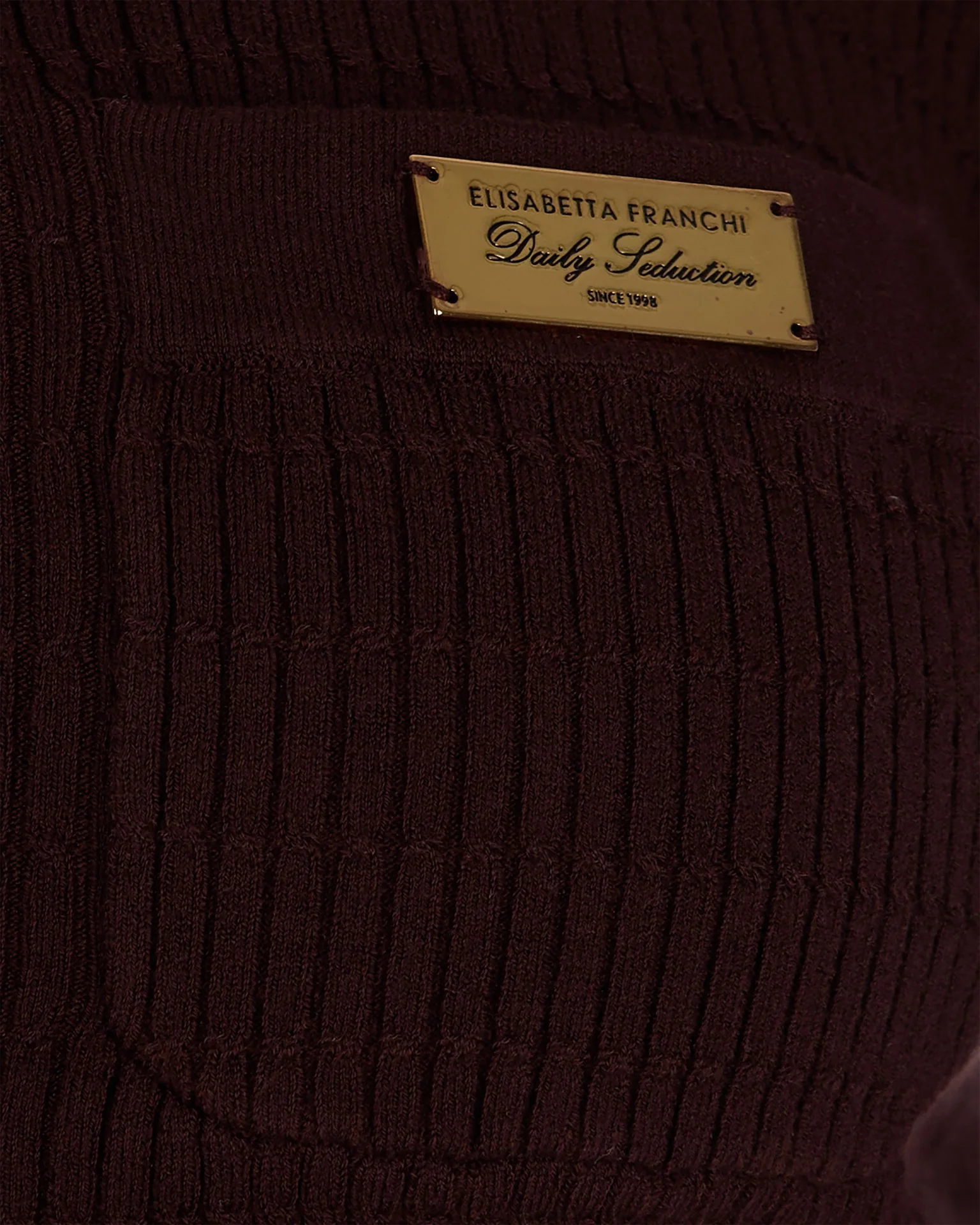 Elisabetta Franchi Luxurious Long-Sleeve Sweater for Women - Image 3