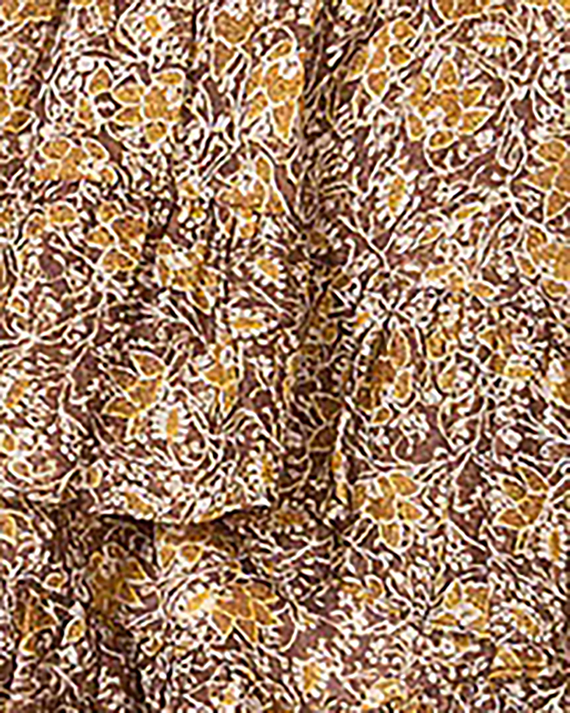 Marant Etoile Chic Mini Shorts for Women - SS26 Collection - Image 3