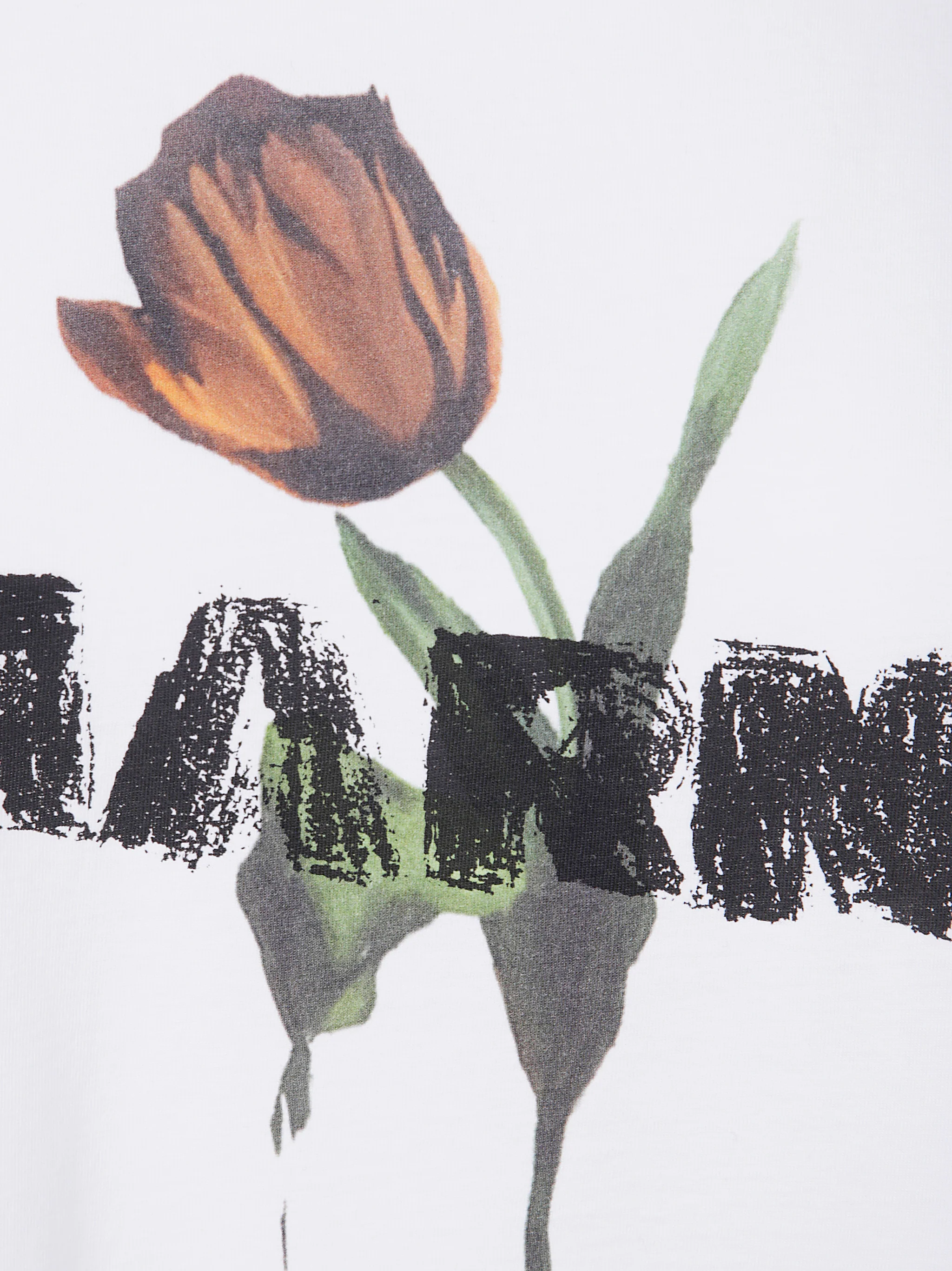 Marni Cotton Knit T-Shirt for Women - FW25 Collection - Image 3