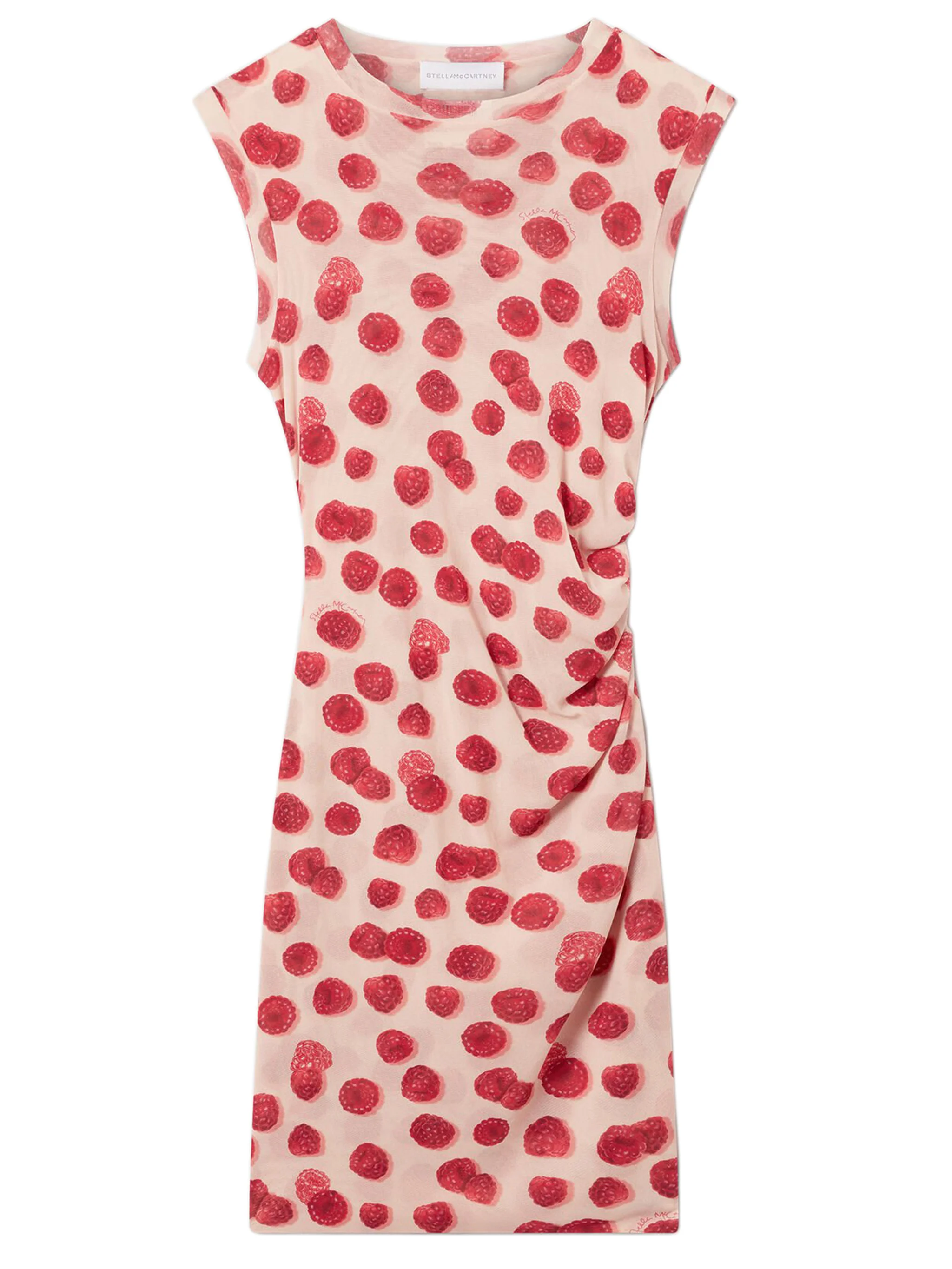 Stella Mccartney Sleeveless Printed Mesh Dress